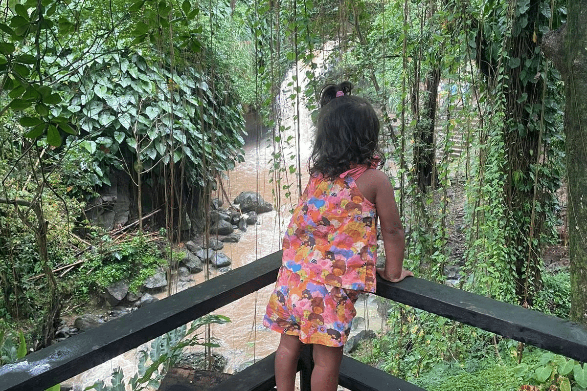 grenada-rainforest-hiking