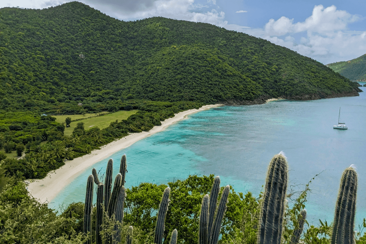Guana Island Beach