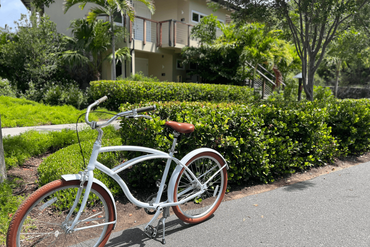 Virgin Islands Family Vacation Guide